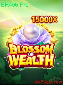 Decifrando BlossomofWealth: Um Guia Abrangente para BR456 Pro